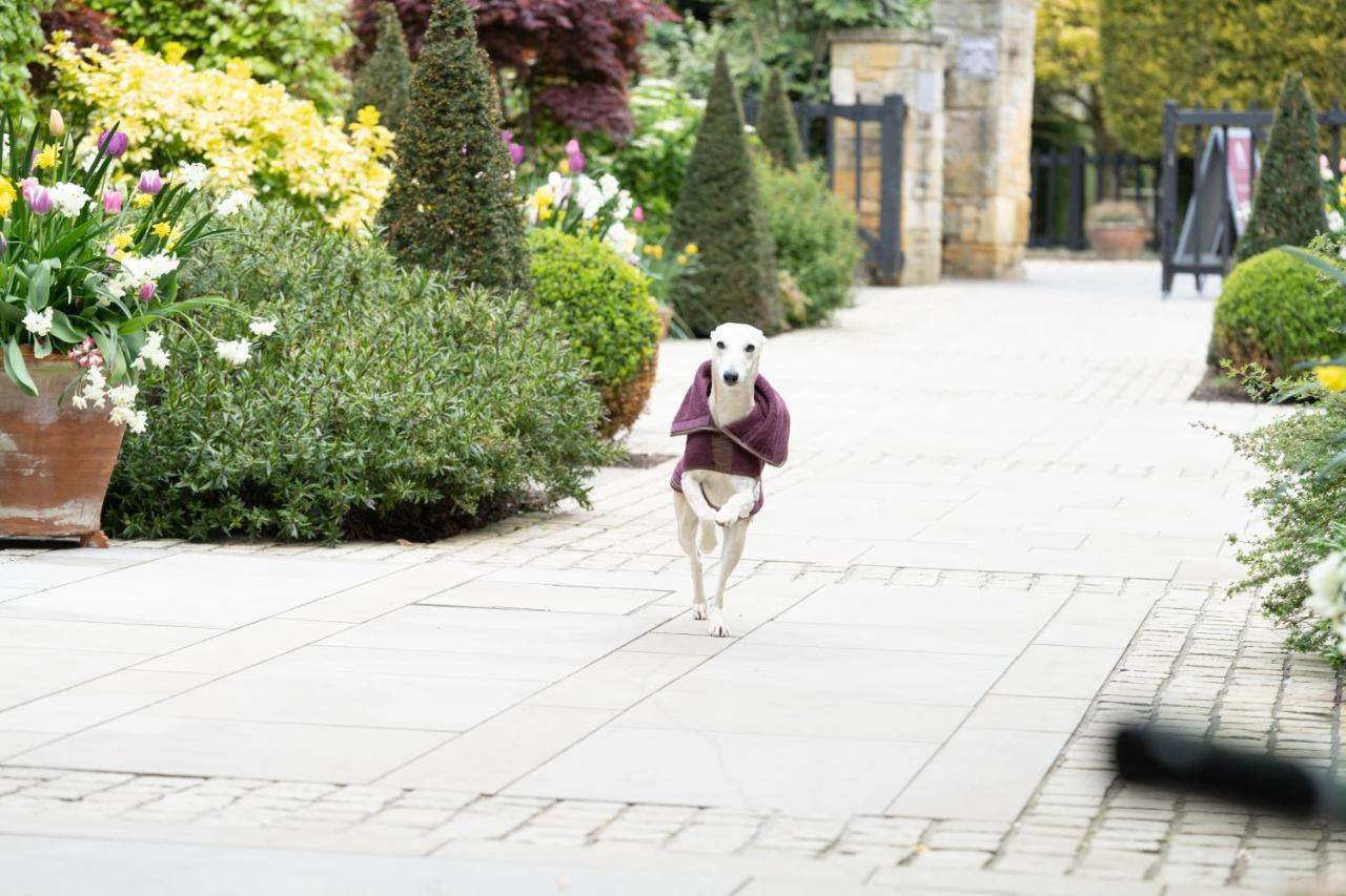 The Lygon Arms - An Iconic Luxury Hotel Broadway  Esterno foto
